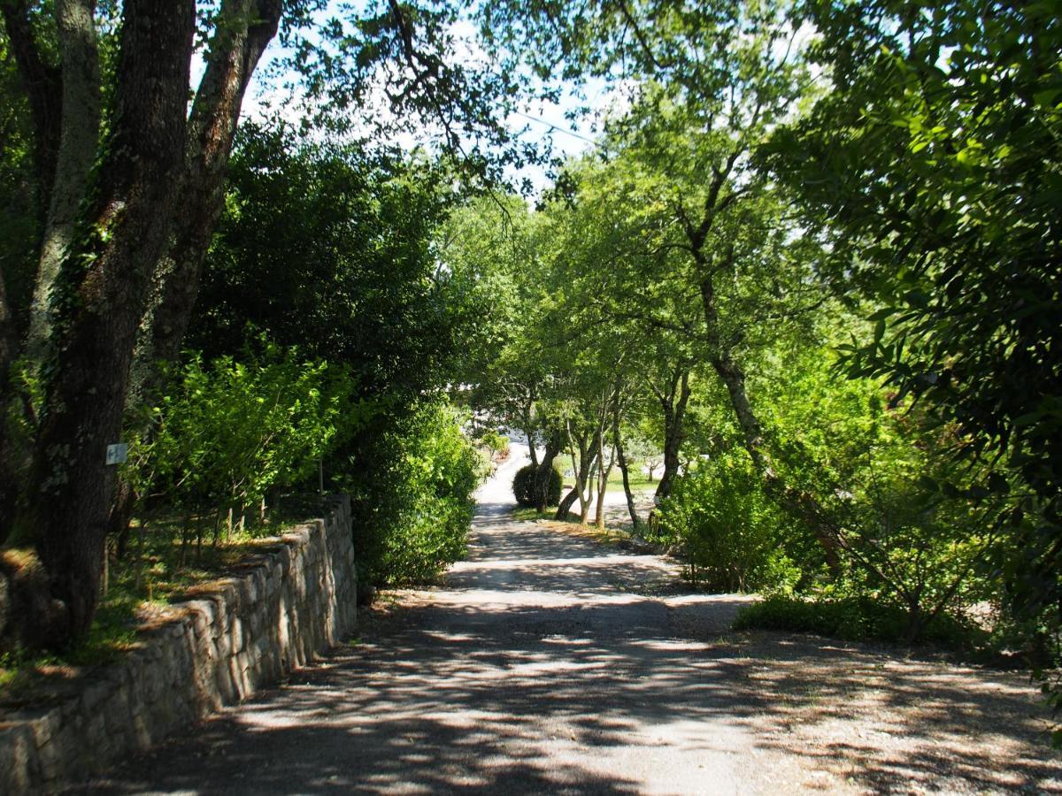 Saint Alban Auriolles Camping Mas Du Sartre מראה חיצוני תמונה